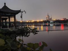 -莲花池公园