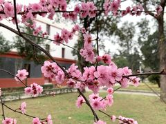-四川大学(望江校区)