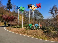 -南京老山国家森林公园