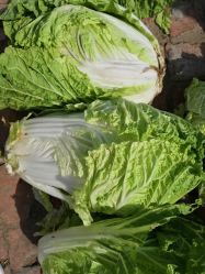 -Oasis Beauty水磨坊科技美肤中心