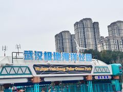 -海合安武汉极地海洋公园