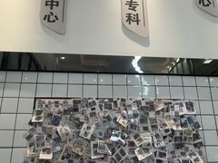 -半岛宠物医院24小时(科华中路店)