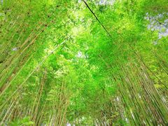 -剑门关风景区