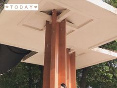 -火炉山森林公园