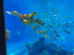 -成都浩海立方海洋公园