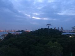 -圣淘沙天际线斜坡滑车