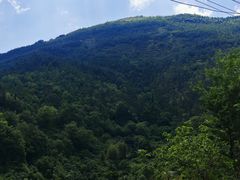 -长虫山生态公园风景林