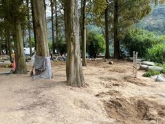 -新安江山水画廊风景区