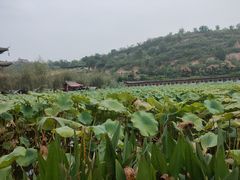 -渭南桃花源民俗文化园