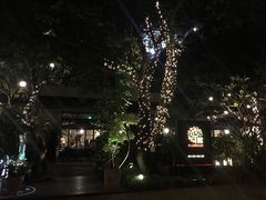 -T館·花园艺术餐厅