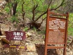 -金龙寺国家森林公园