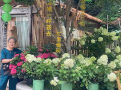 -茶肆(仙林店)