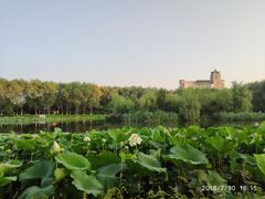-吉林大学(前卫南区)