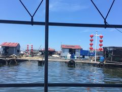 -蓝湾碧波·老字号·疍家非遗海上餐厅