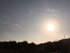 -西湖风景区-江洋畈生态公园