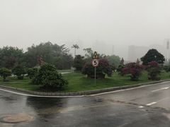 -广西壮族自治区药用植物园