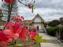 -报恩禅寺