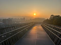 -福道