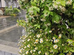 -比斯特上海购物村精品奥特莱斯