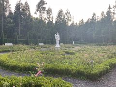 -东平国家森林公园