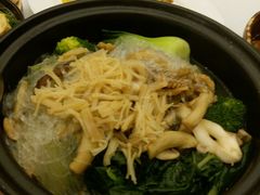 -美心皇宫(屯门大会堂店)