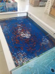 -孩子王(江南万达店)