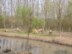 -溱湖国家湿地公园