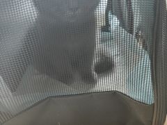 -爱侣宠医·鹦鹉专科·小型哺乳类·异宠专科(灵石路店)