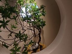 -肥三土菜馆(五四广场店)