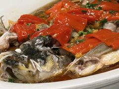 -丹江渔村(望京店)