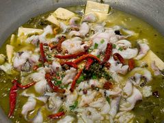 -腾龙阁|经典川菜(SM城市广场店)