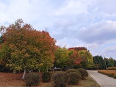 -长春世界雕塑园冰雪艺术天地