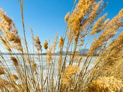 -野鸭湖国家湿地公园