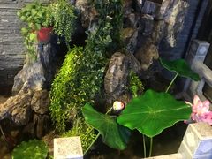 -知足堂养生会所(碑亭巷店)