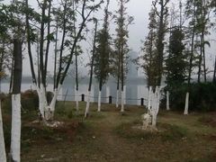 -艾溪湖湿地公园