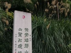 -重庆彩云湖湿地公园