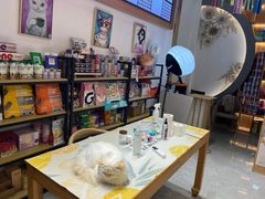 -山宅一喵德文卷毛猫舍
