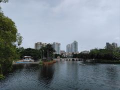 -荔湾湖公园
