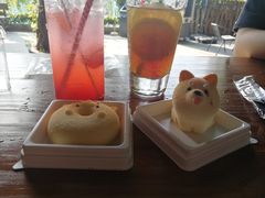 -柴犬高等学院·狗咖·柴犬售卖·宠物训练