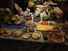 -雅达·阳羡溪山小镇中心