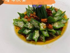 -隐园