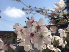 -御花园·粤菜·海鲜火锅(中山公园店)