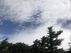 -富士山吉田線五合目