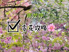 -西安青龙寺遗址景区