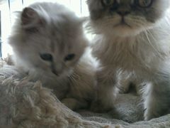android_upload_pic-赢吧Bliss音乐酒吧