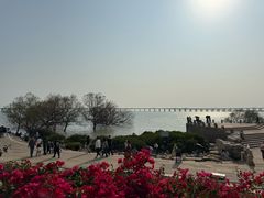 -宝安西湾红树林湿地公园