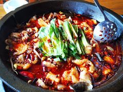-都江堰石锅鱼