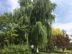 -济南植物园