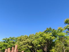 -东平国家森林公园