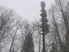 -武陵山森林公园